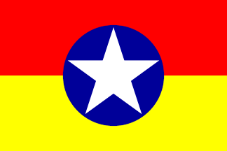 [Flag of the Dai Viet Revolutionary Party]